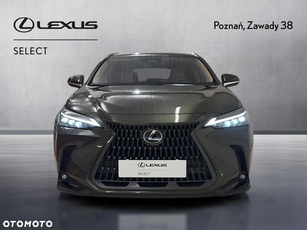 Lexus NX - 6