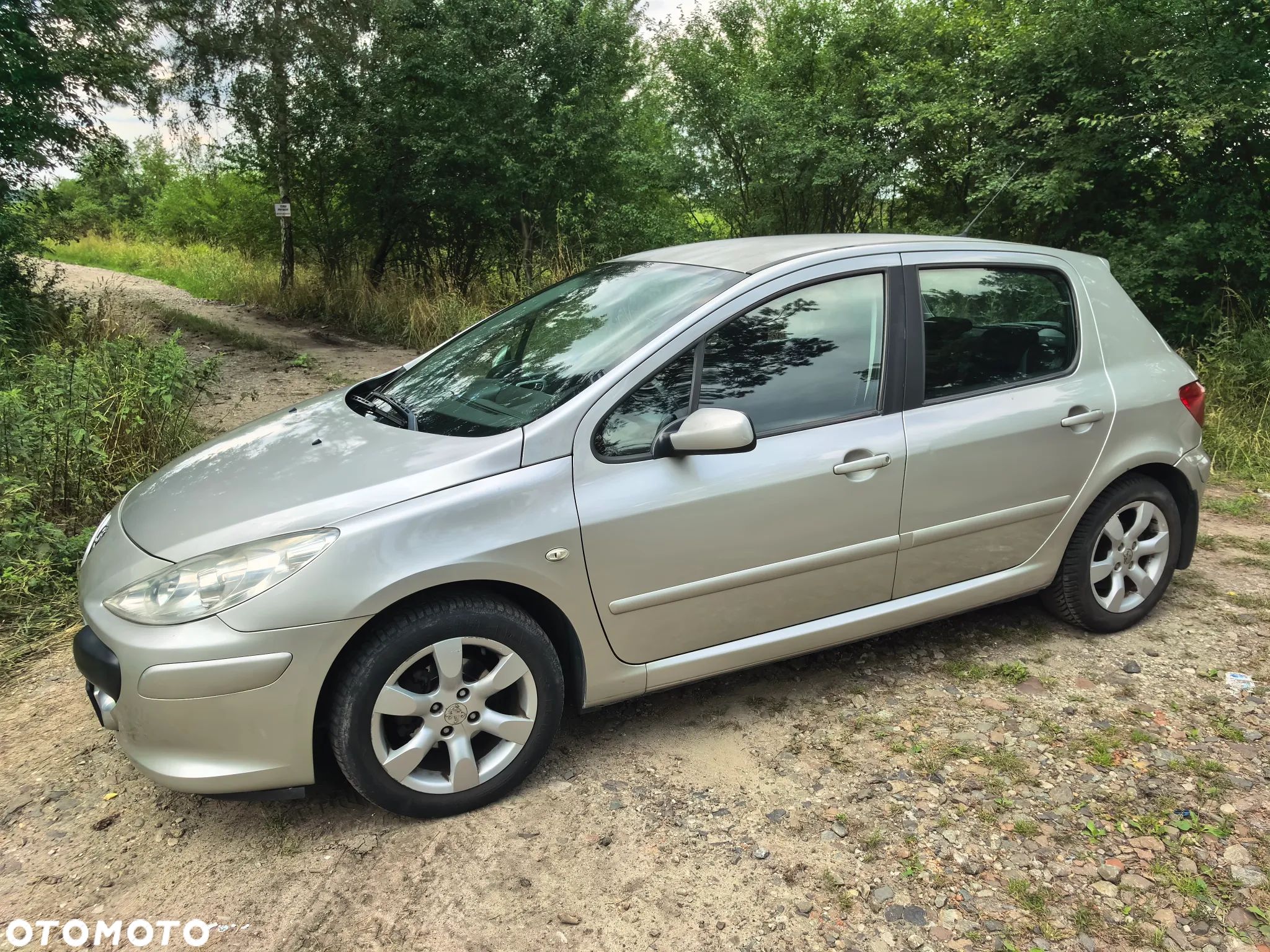 Peugeot 307 1.6 Oxygene - 1