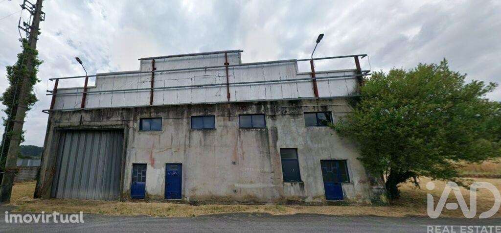 Hangar em Campo de Besteiros de 1664,00 m2 - Grande imagem: 5/7