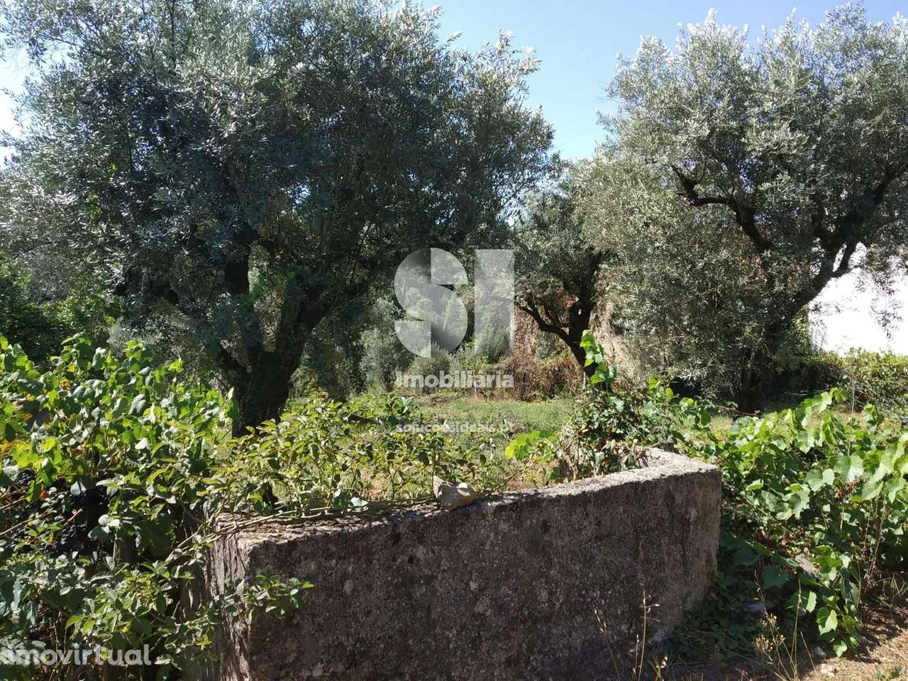 Terreno em Vila nova de poiares - Grande imagem: 2/5