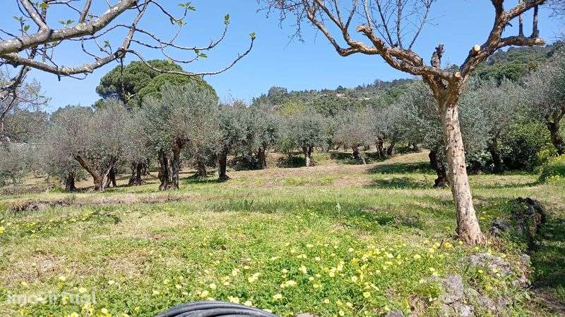 Terreno para construção - Grande imagem: 3/8