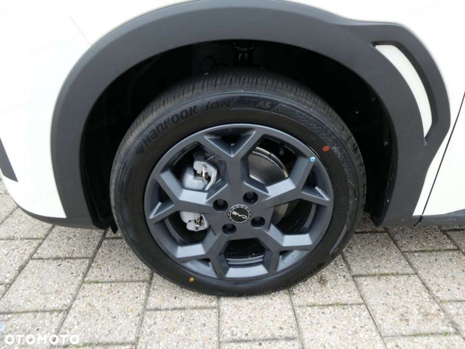 BYD Dolphin Surf - 18