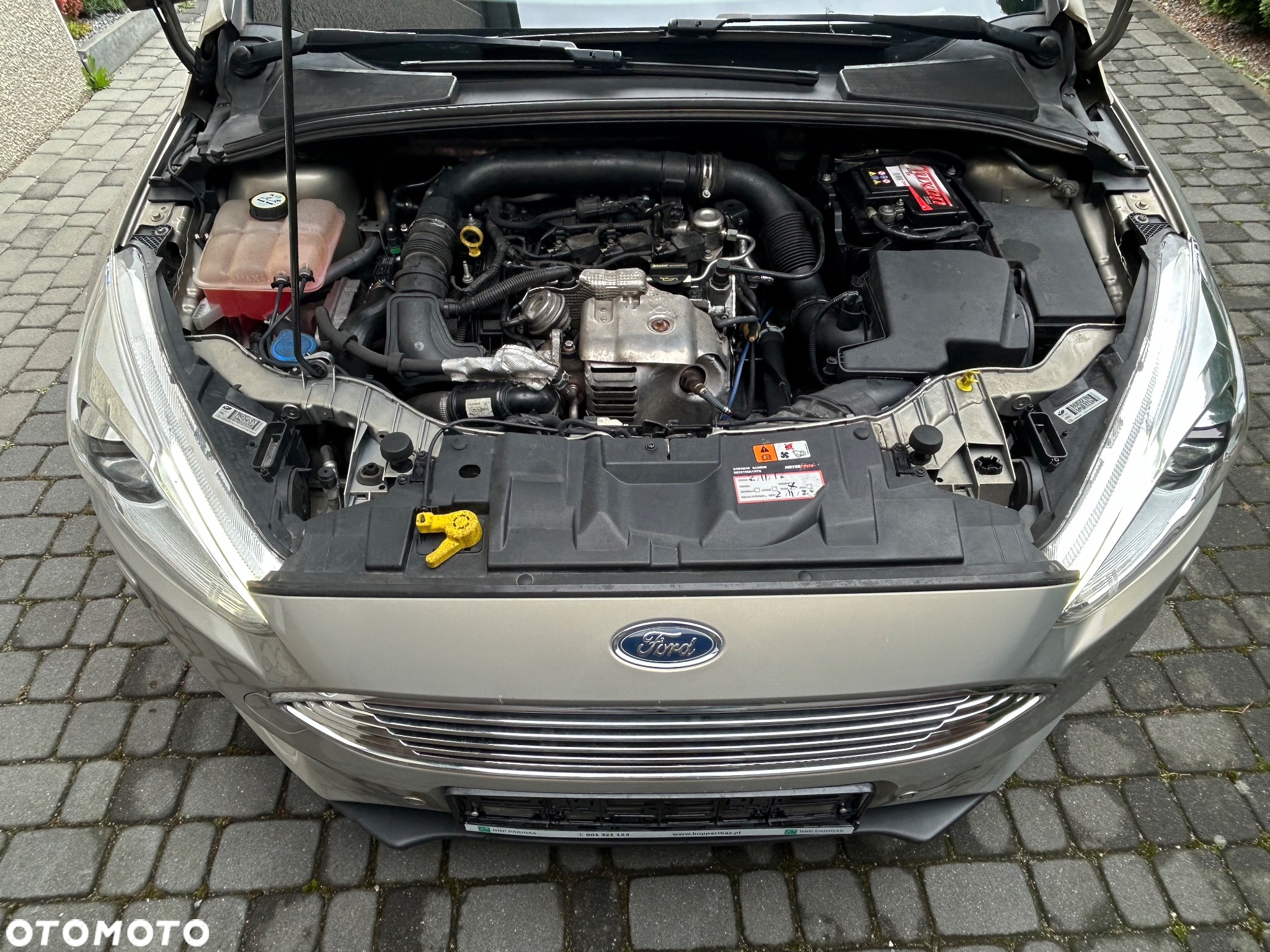 Ford Focus 1.0 EcoBoost Titanium Business - 22