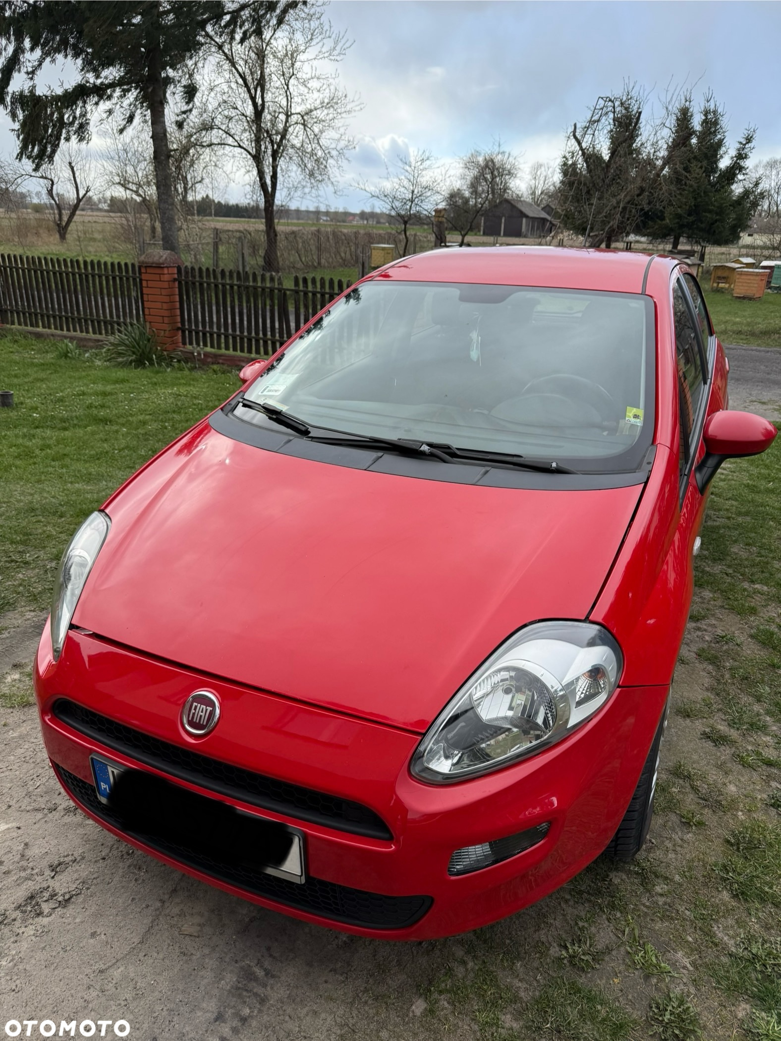 Fiat Punto - 22