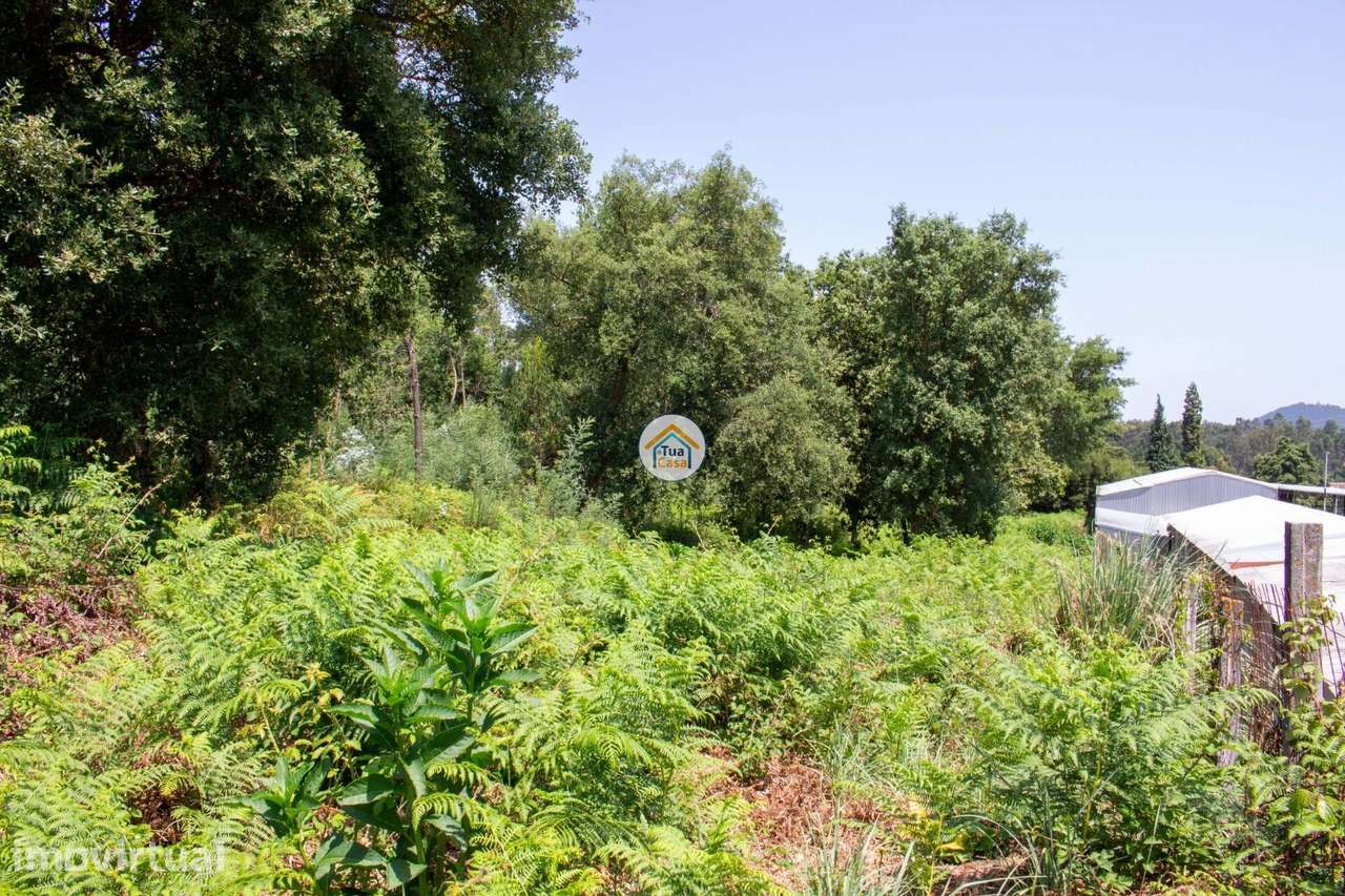 Terreno Agrícola com Potencial em Grijó – 8.509 m2 - Grande imagem: 2/10
