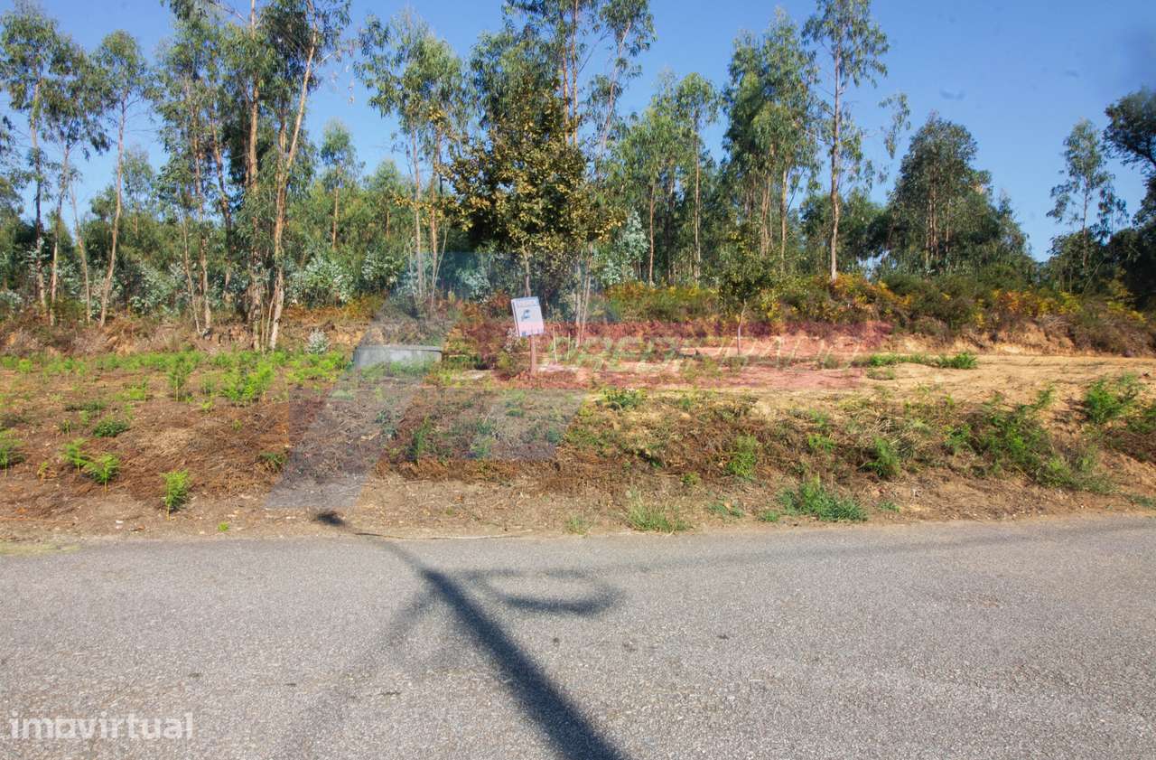Terreno Florestal em Atiães, Vila Verde! - Grande imagem: 3/4
