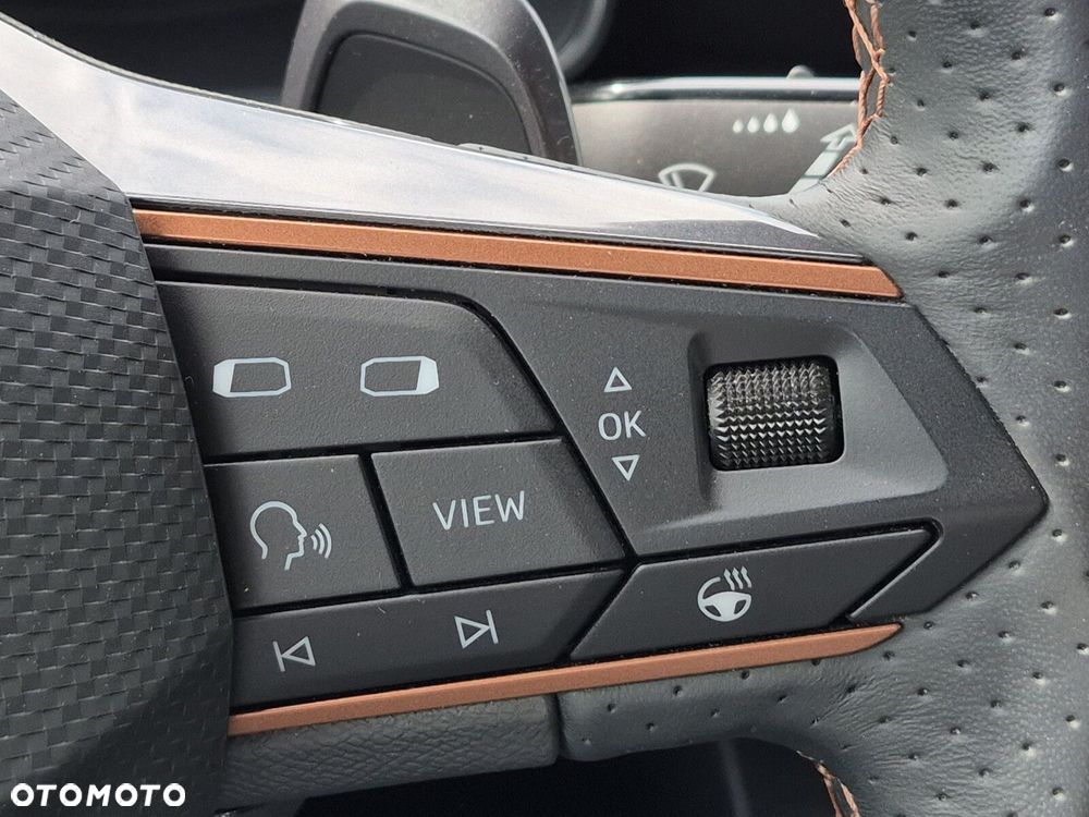 Cupra Formentor 2.0 TSI 4Drive DSG - 22