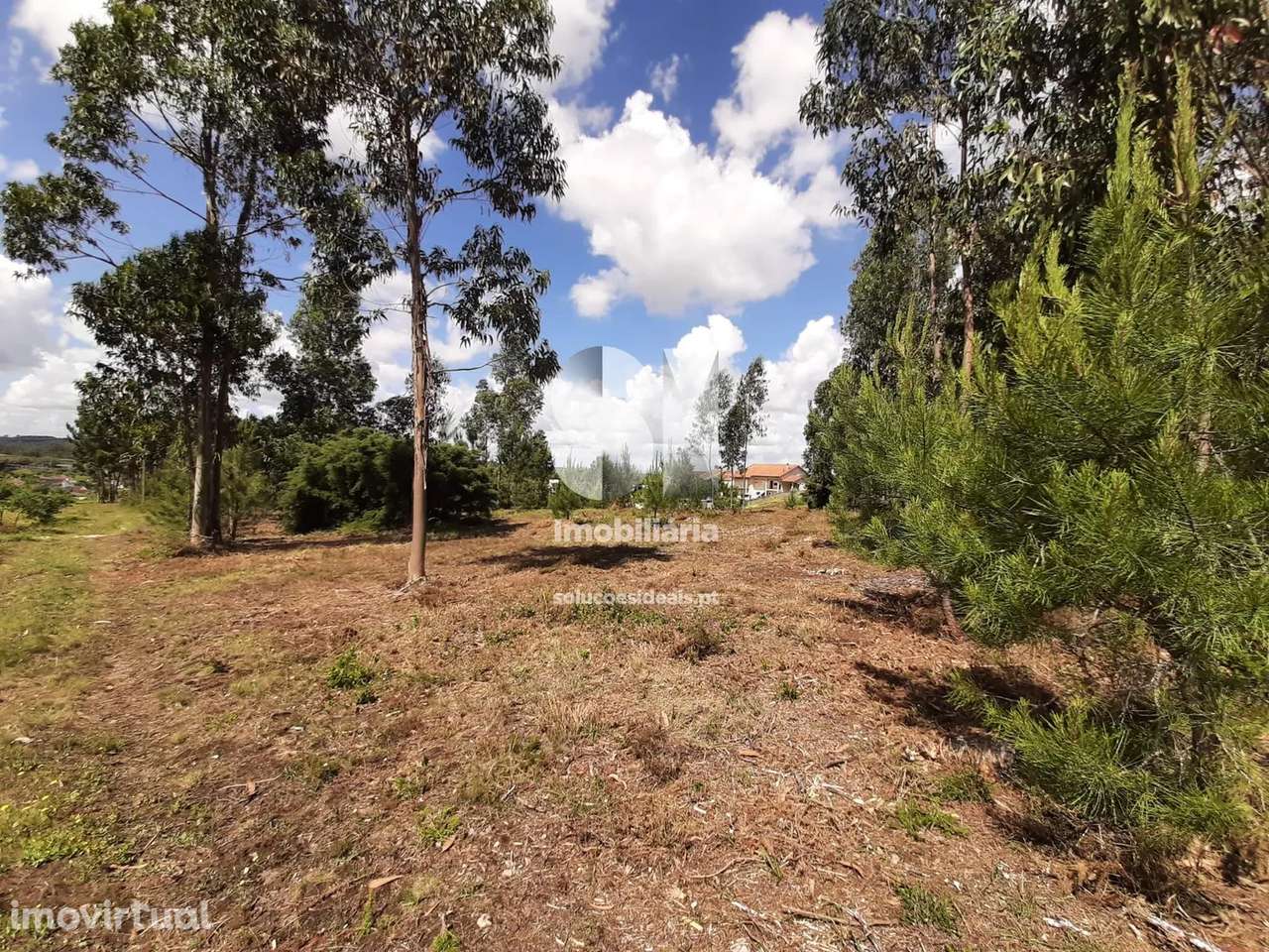 Terreno em Mealhada - Grande imagem: 4/5