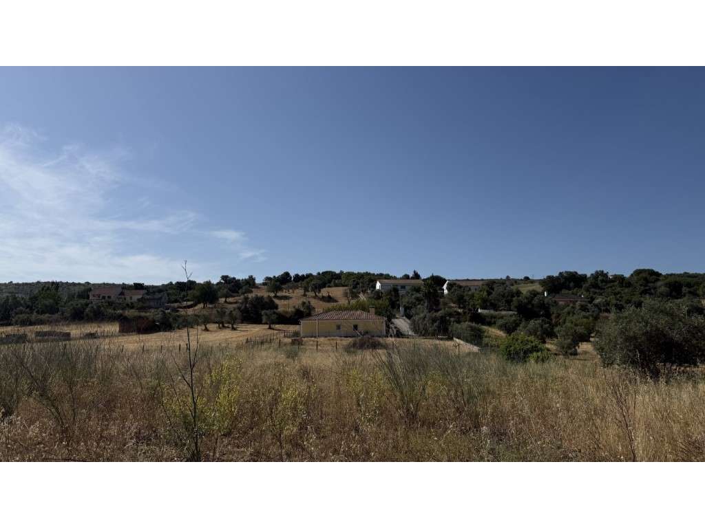 Terreno para Investimento com Viabilidade de Construção até 5 Moradias - Grande imagem: 3/4