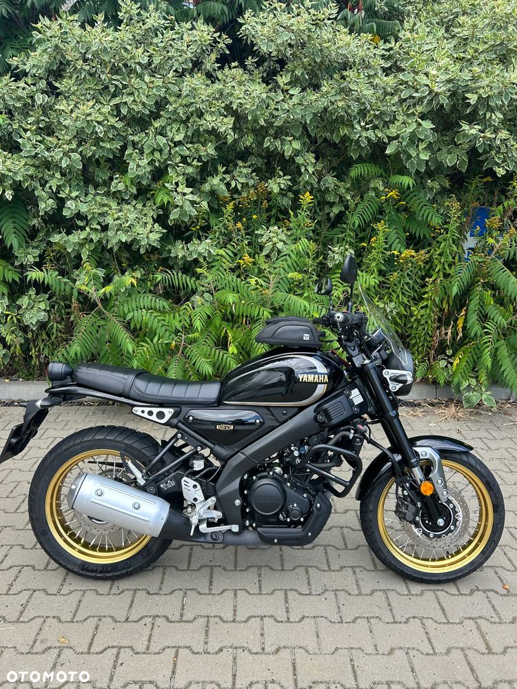Yamaha XSR - 14