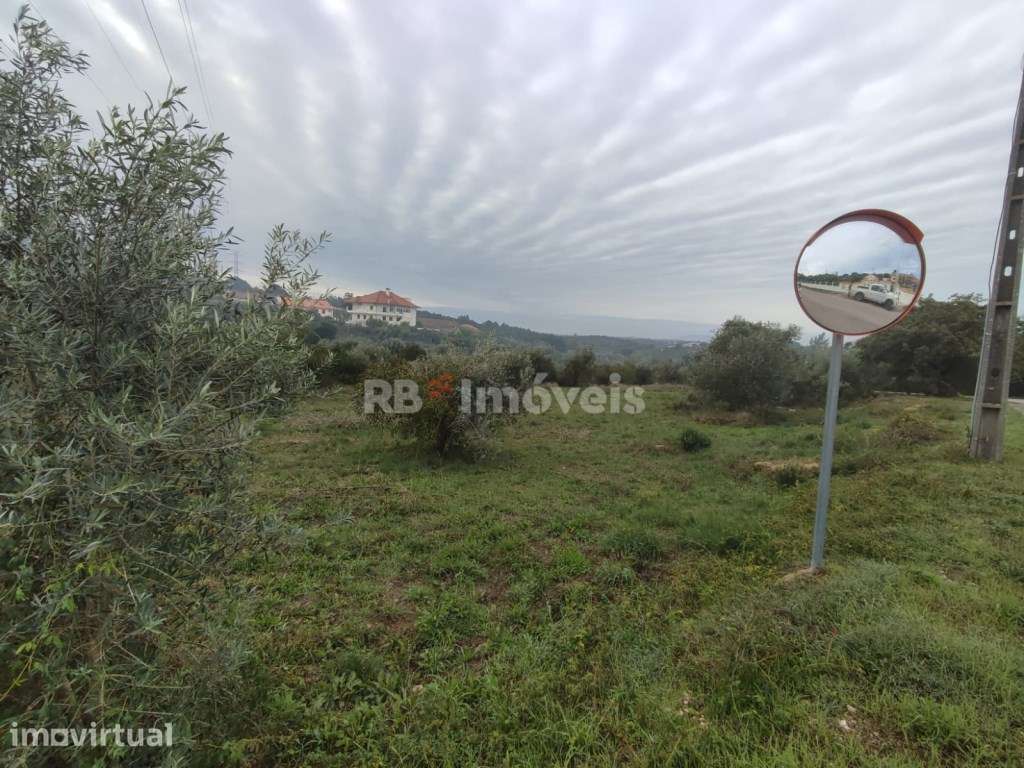 Terreno com 6720m² - Casais, Tomar - Grande imagem: 3/16