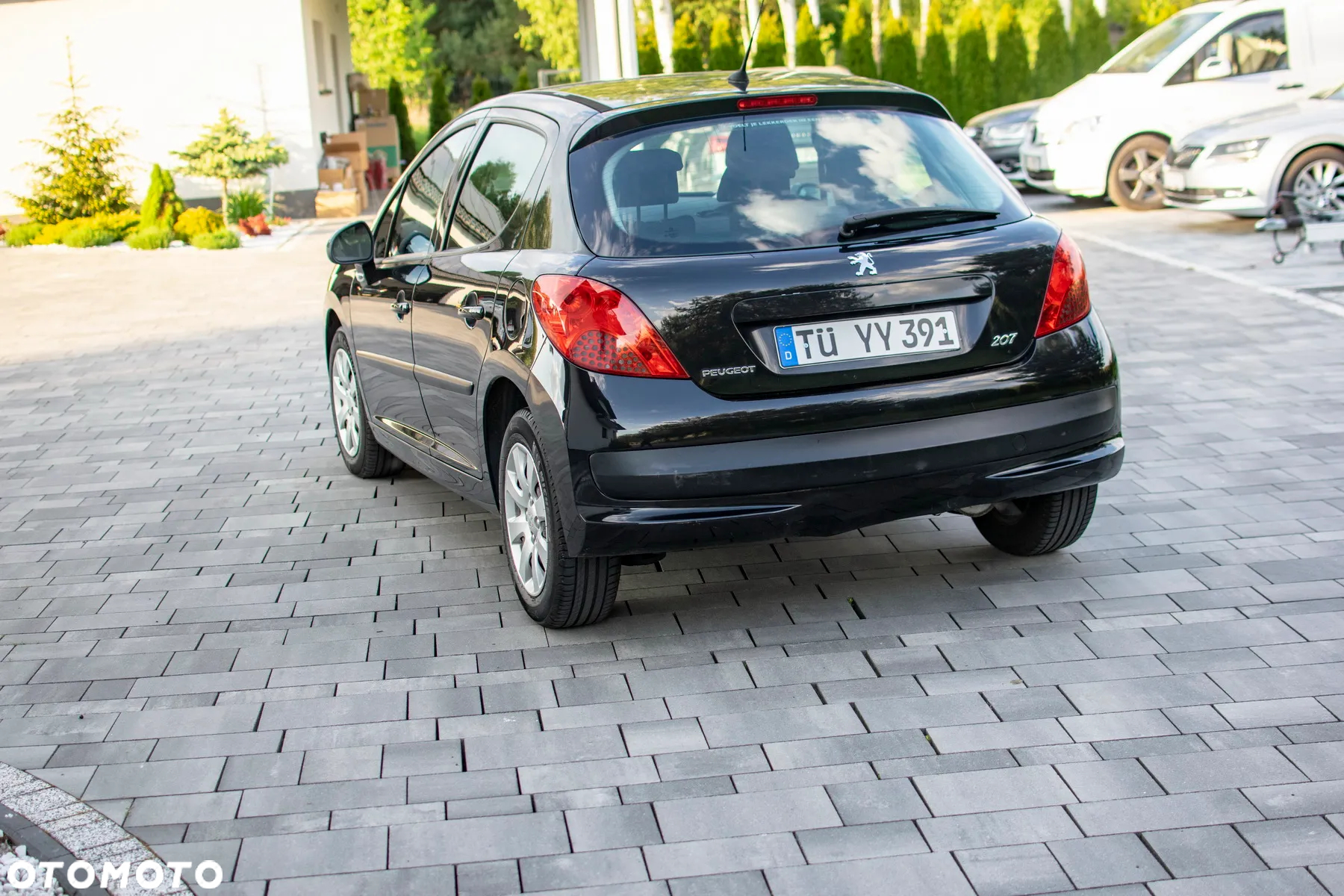 Peugeot 207 - 20