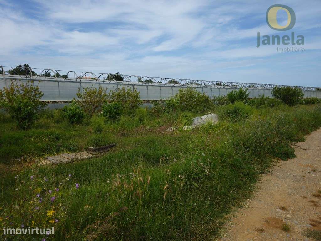 Quinta com uma área total de 3,95 ha, duas habitações com 300 m2, c... - Grande imagem: 4/30