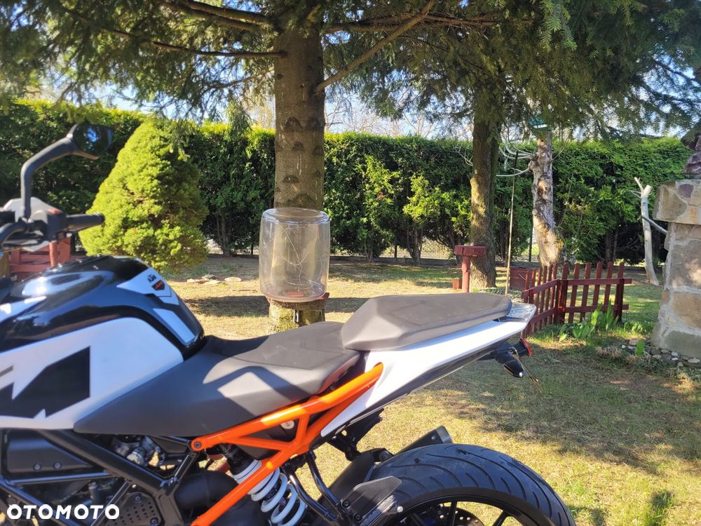KTM Duke - 18
