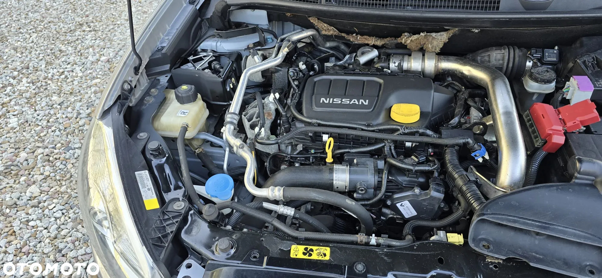 Nissan Qashqai 1.6 DCi Acenta EU6 - 21