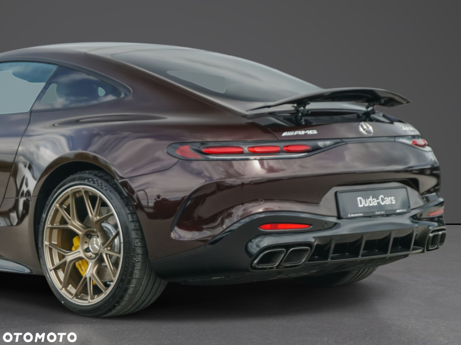 Mercedes-Benz AMG GT - 13