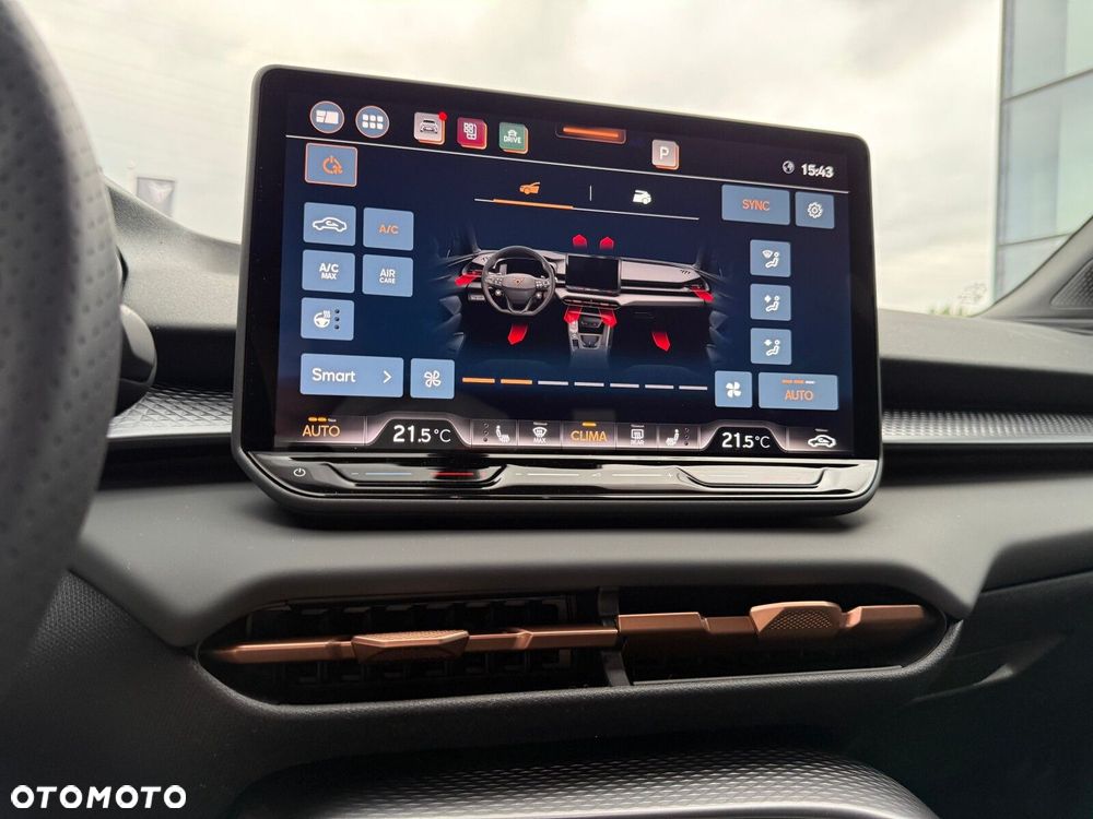 Cupra Terramar 2.0 TSI 4Drive DSG - 30