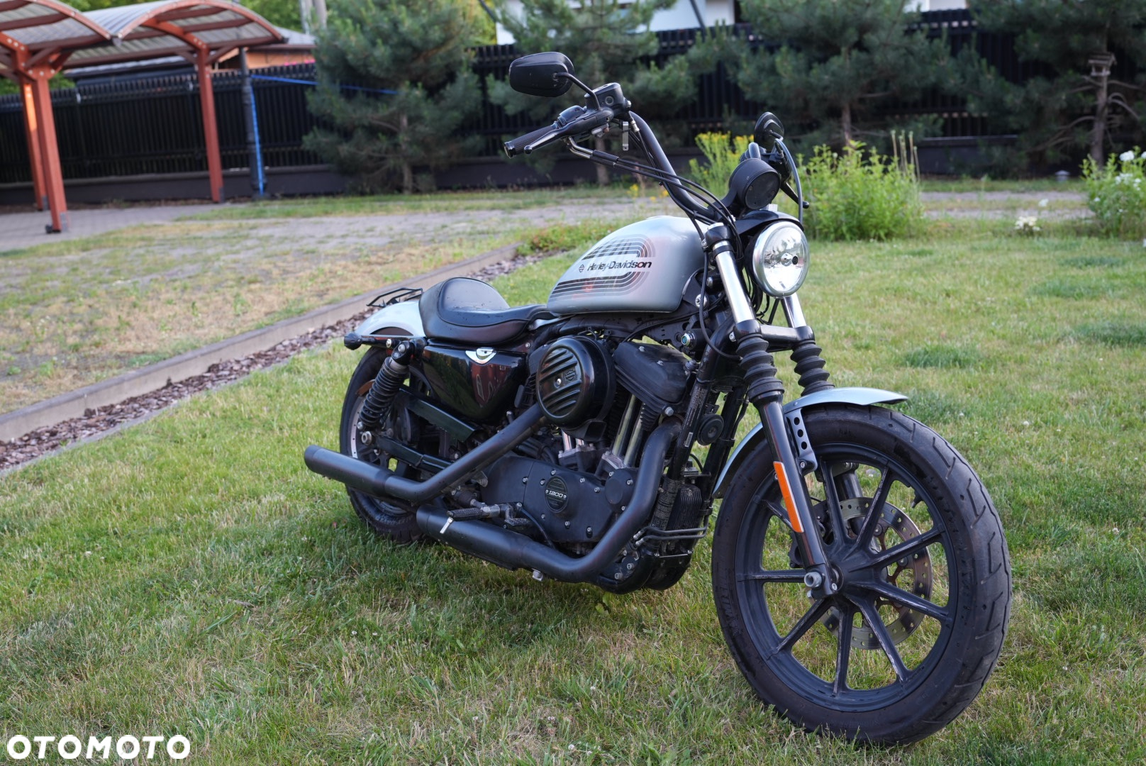 Harley-Davidson Sportster Iron 1200 - 5