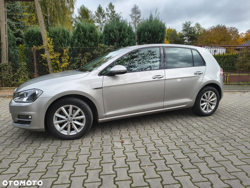 Volkswagen Golf - 26