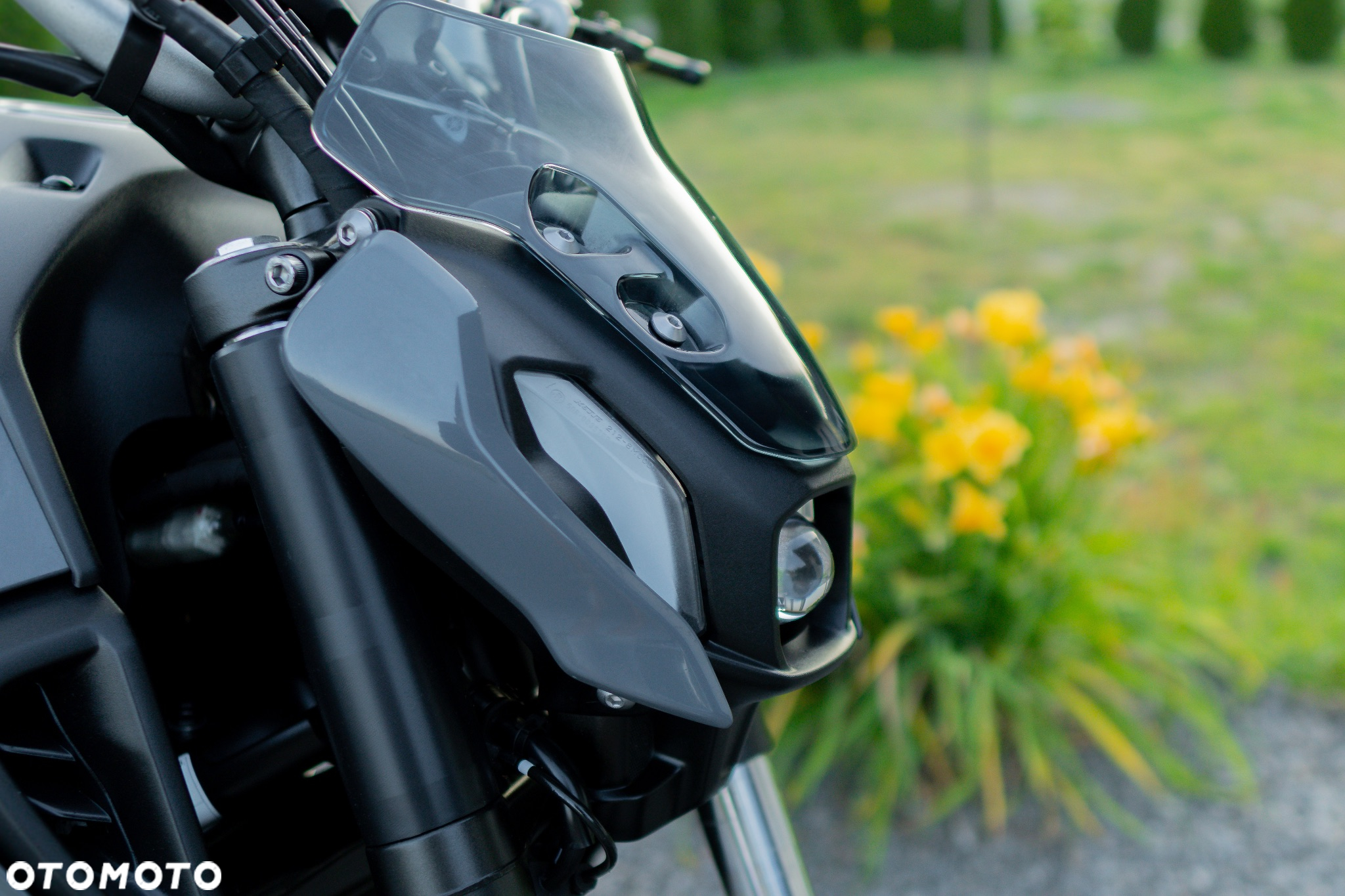 Yamaha MT - 13