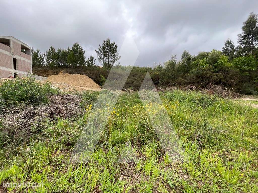 Lote para construção em Palmaz - Oliveira de Azeméis - Grande imagem: 4/14