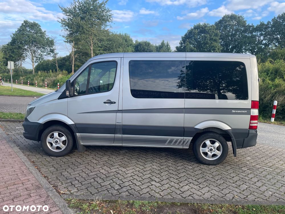 Mercedes-Benz Sprinter (BlueTec) 906.213 BlueEFFICIENCY - 2