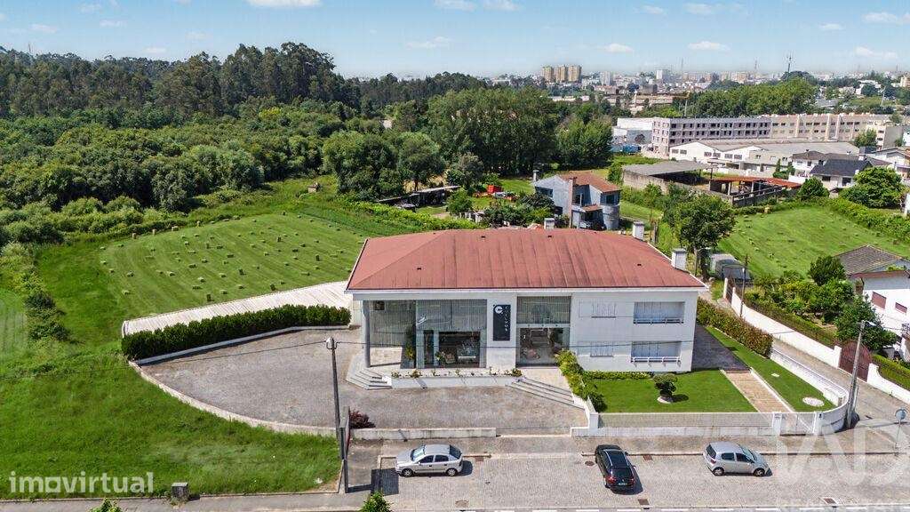Loja / Estabelecimento Comercial em Nogueira e silva escura de 423,00 - Grande imagem: 3/26
