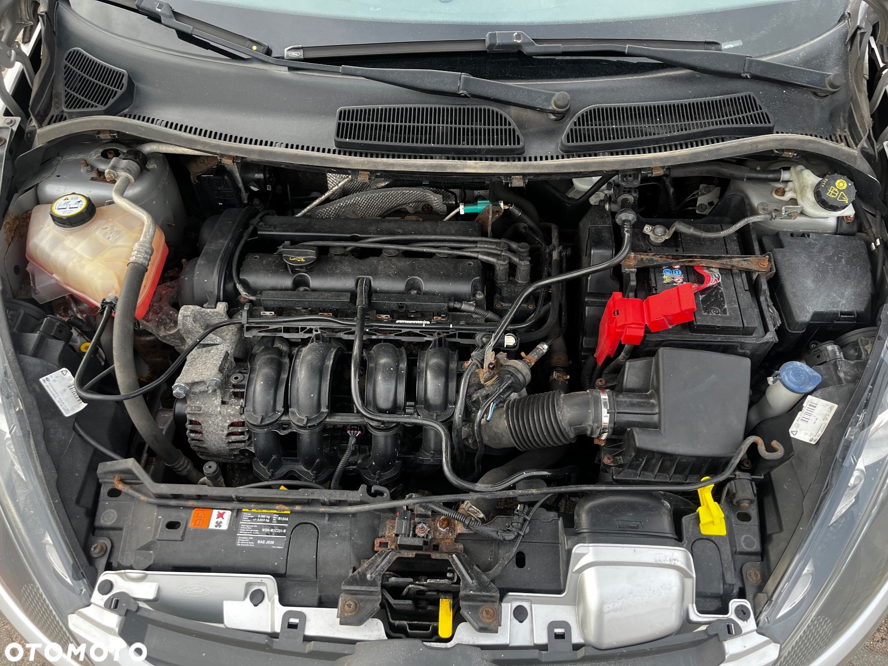 Ford Fiesta - 32