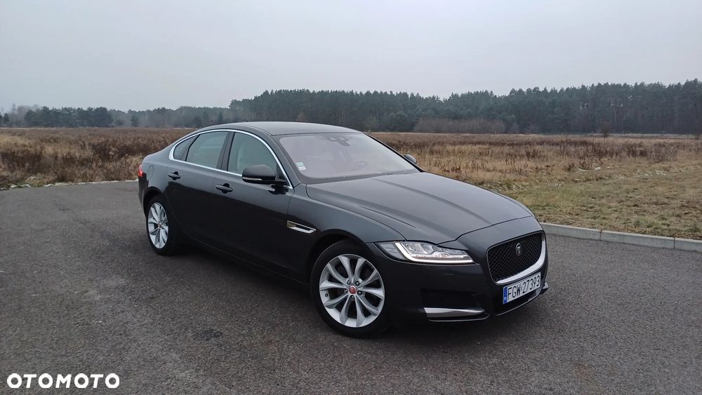 Jaguar XF 20d AWD Prestige - 14