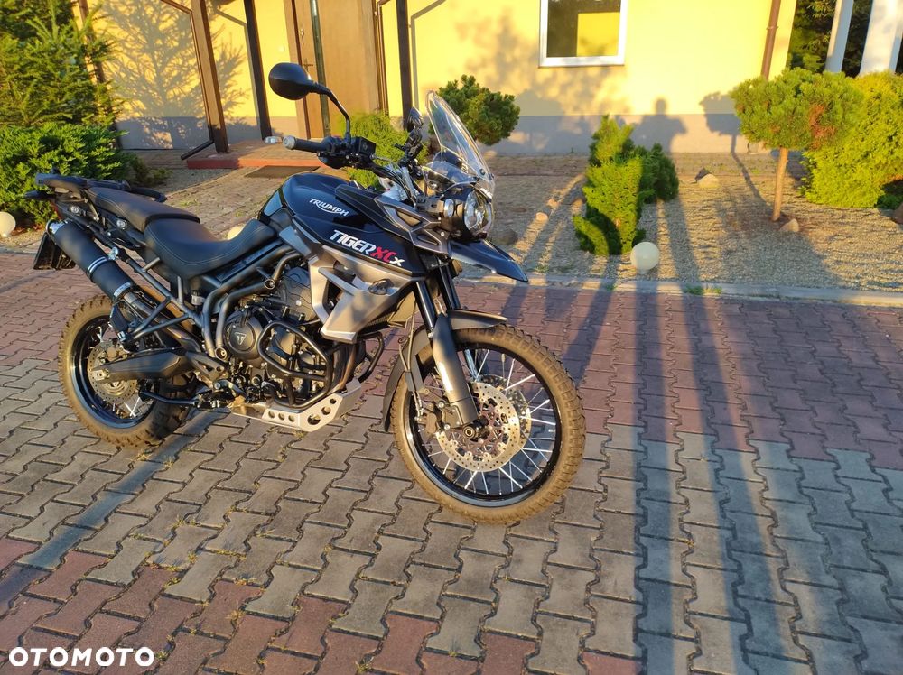 Triumph Tiger - 3