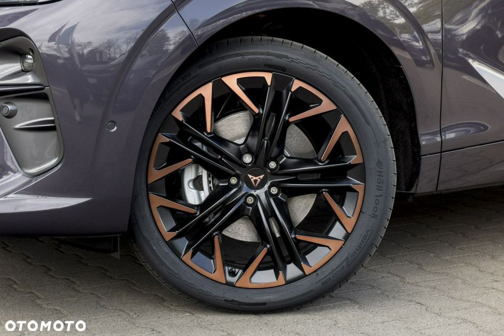 Cupra Terramar - 6