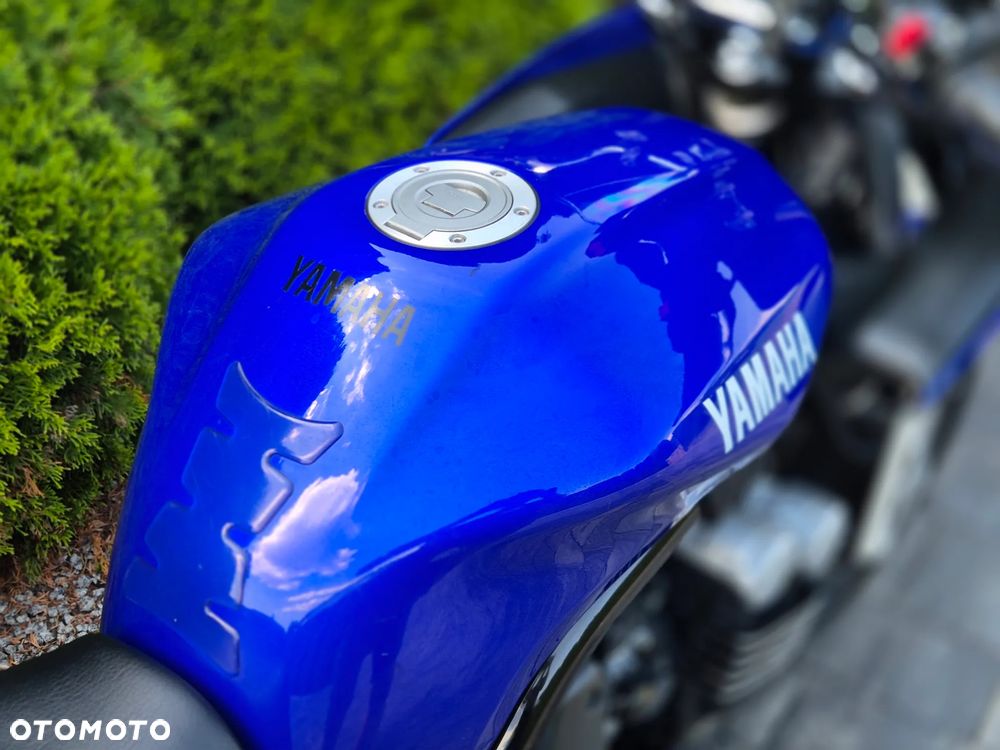 Yamaha FZ6 - 11