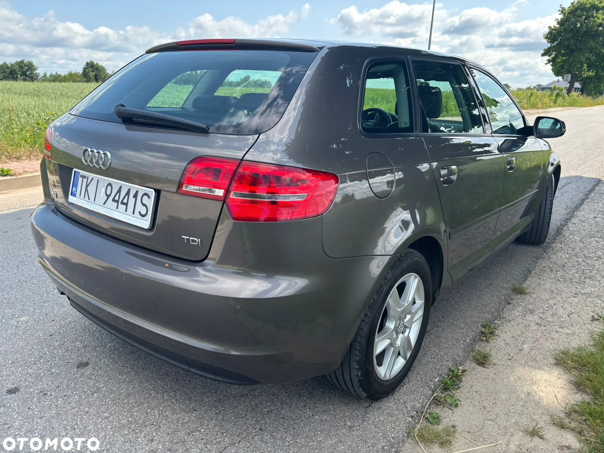 Audi A3 1.6 TDI 102g Sportback DPF - 13