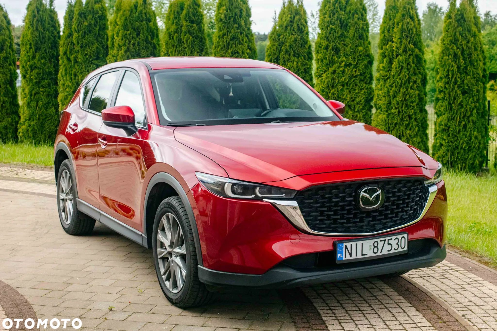 Mazda CX-5 2.5 Skydream AWD - 1
