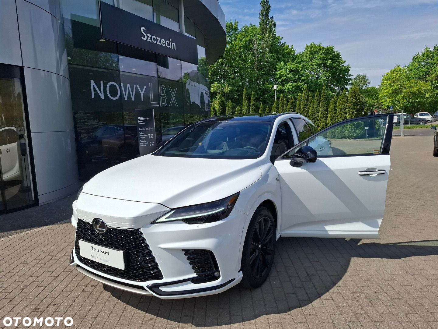 Lexus RX - 9