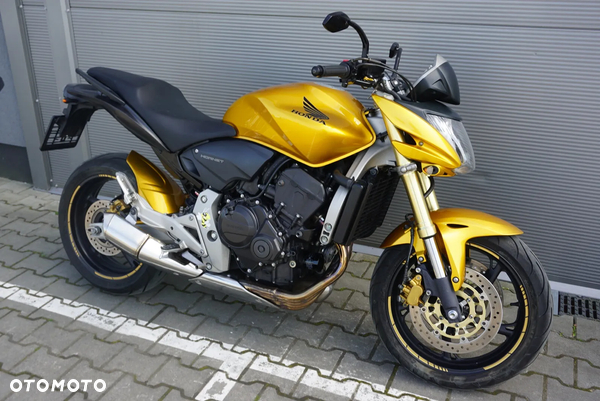 Honda Hornet