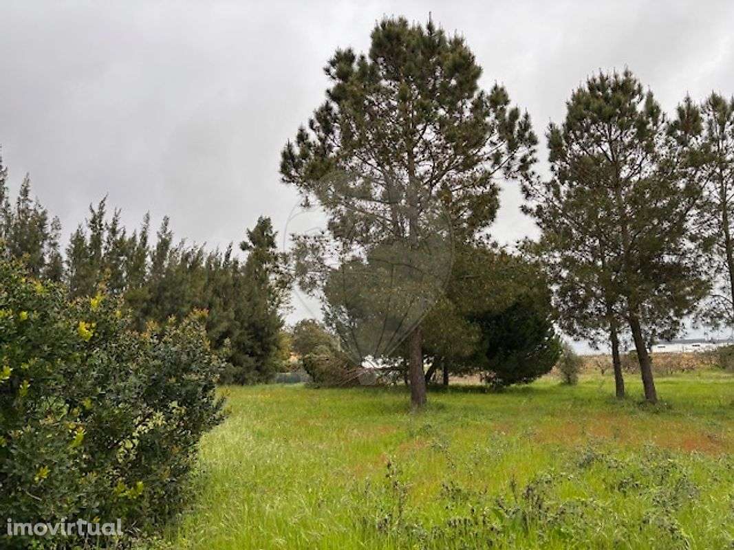 Terreno  para venda - Grande imagem: 3/26