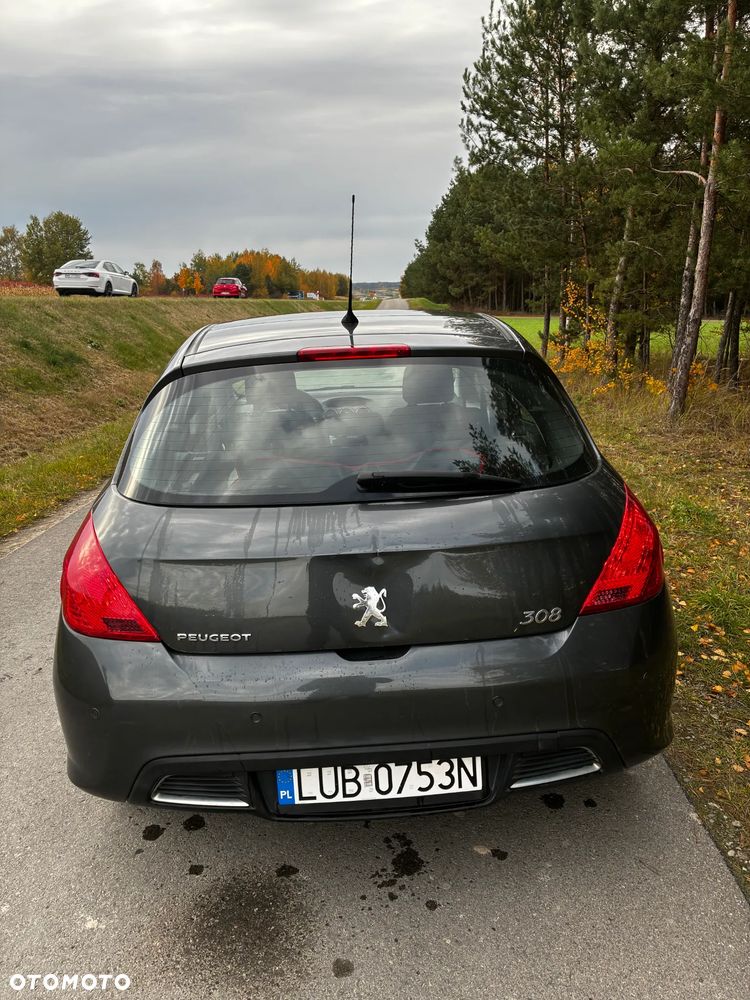 Peugeot 308 2008 photo 3