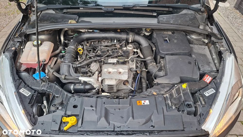 Ford Focus 1.0 EcoBoost SYNC Edition ASS - 17
