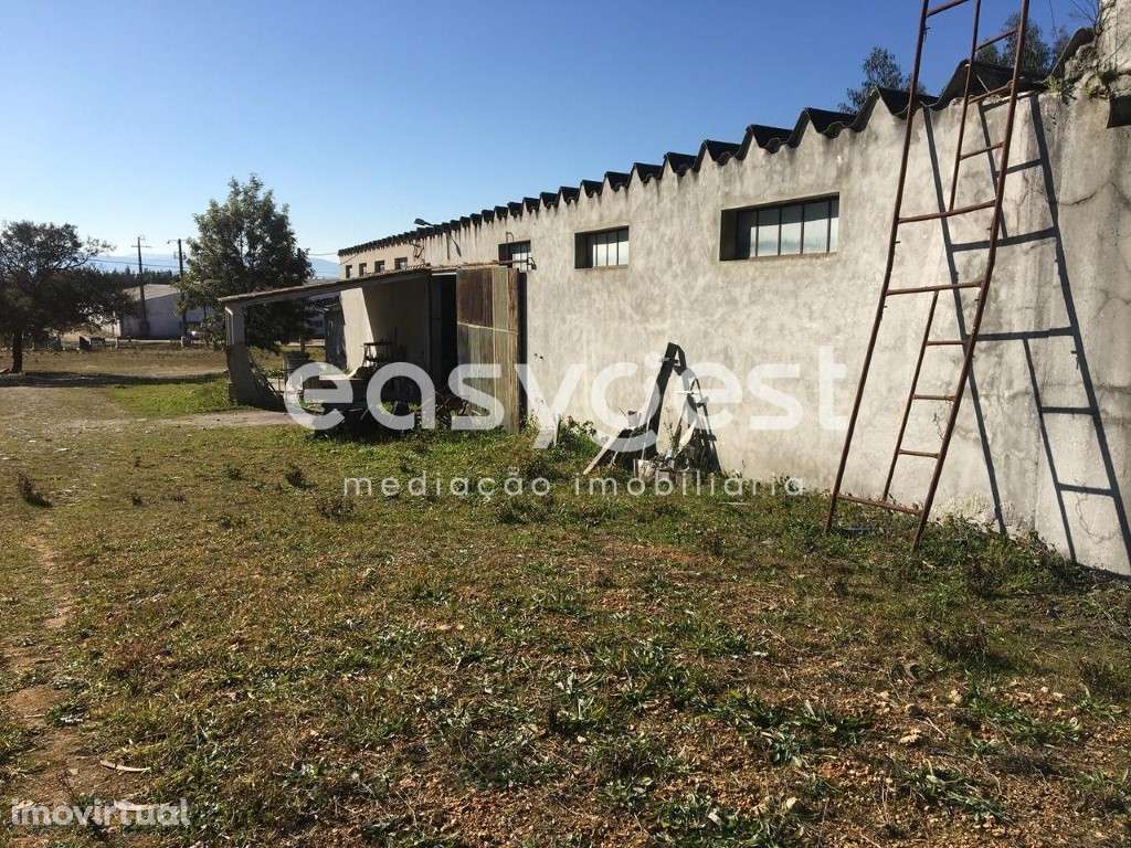 Armazém com 1670 m2 em Est. Nac. 17, Gândara de Espariz, Tábua - Grande imagem: 2/21