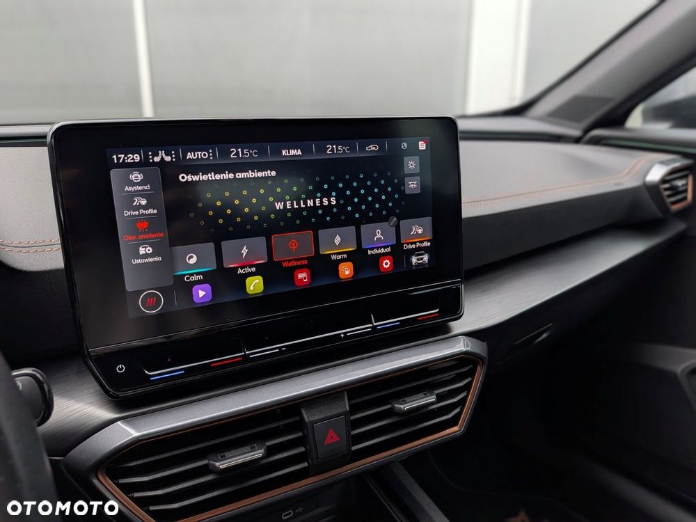 Cupra Formentor 1.5 TSI DSG - 29