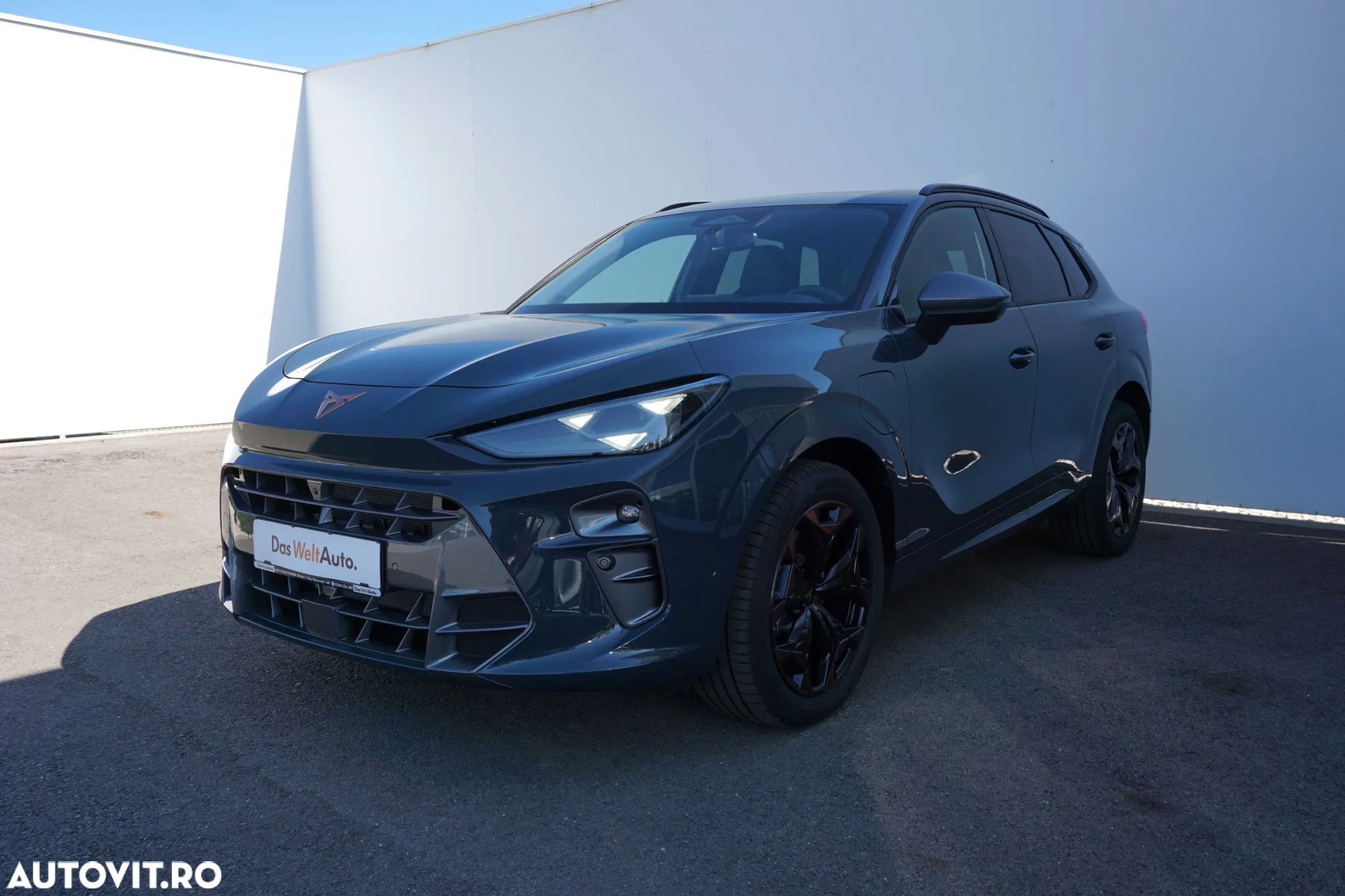 Cupra Terramar - 1