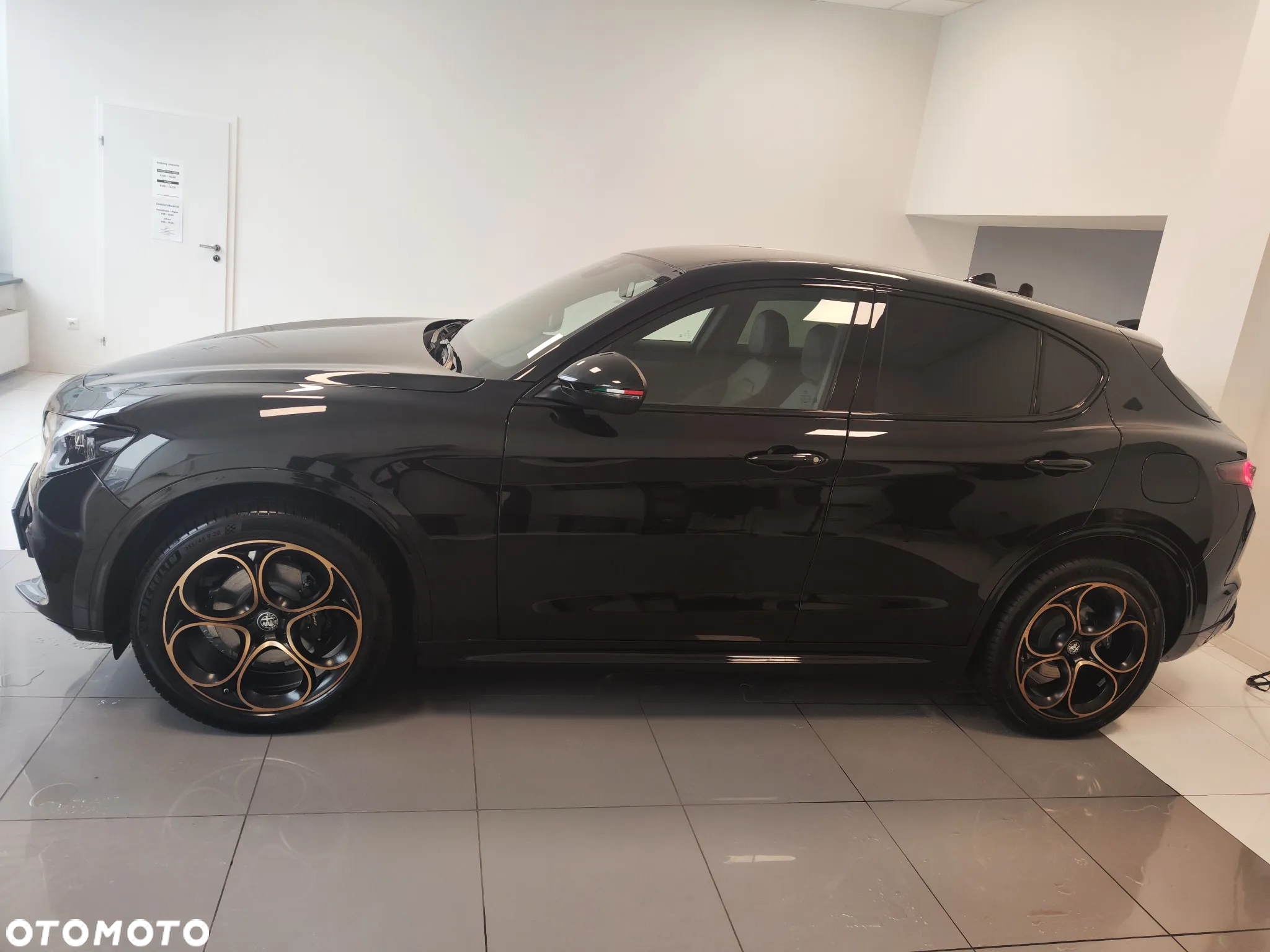 Alfa Romeo Stelvio 2.0 Turbo Intensa Q4 - 10