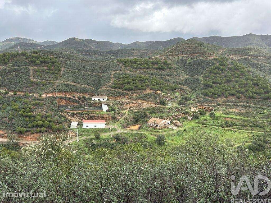 Quinta agricola em Cachopo - Grande imagem: 2/16