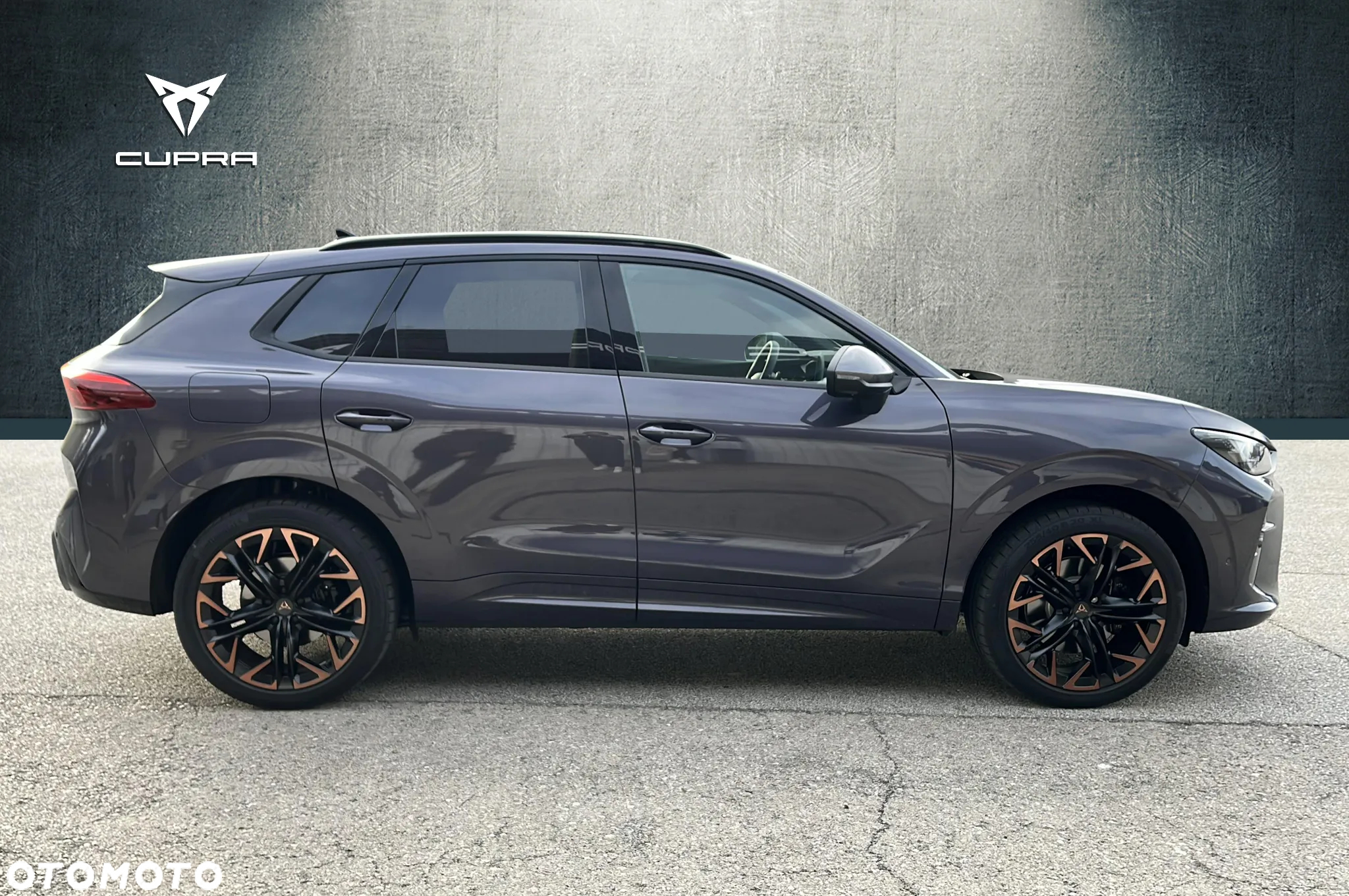 Cupra Terramar - 5
