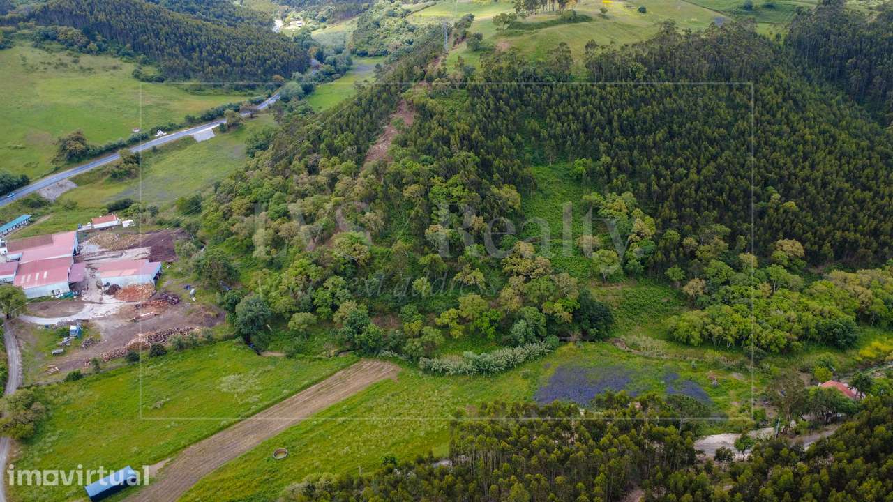 Refúgio Natural com Quase 7 Hectares no Gradil, Mafra - Grande imagem: 3/31