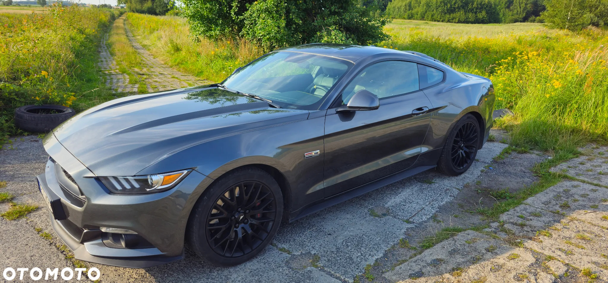 Ford Mustang 5.0 V8 GT - 3