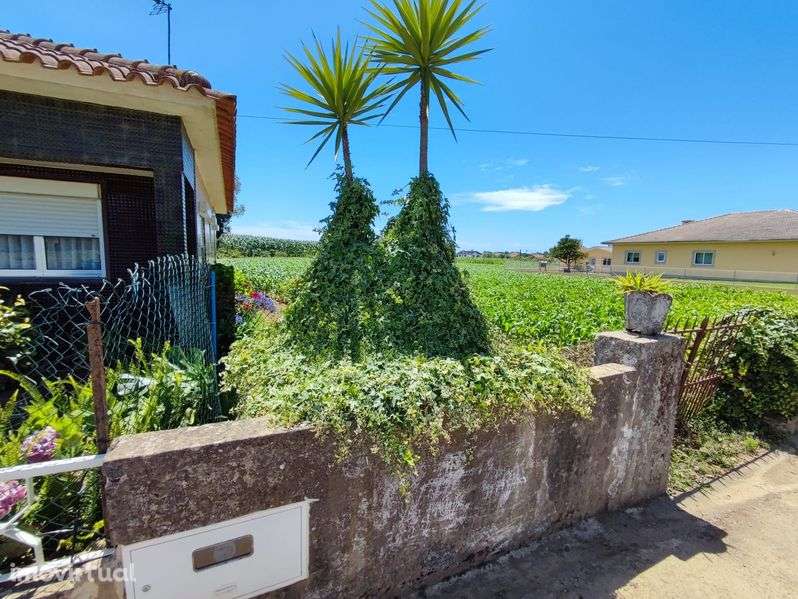 Terreno Loureiro 2100m2 - Grande imagem: 2/4