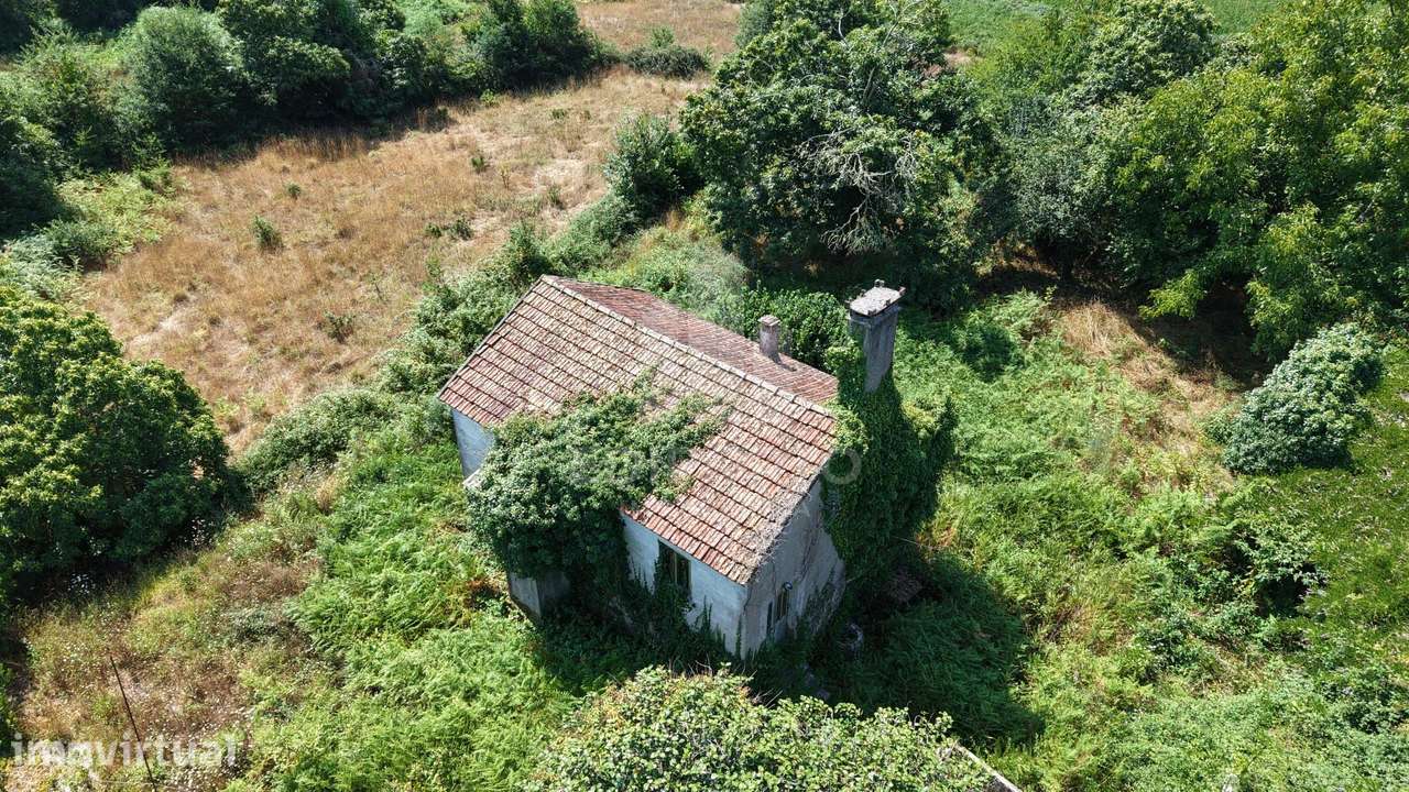 Quinta Rústica com 2 Casas (T4 e T2): Ideal para Turismo ou Família - Grande imagem: 3/60