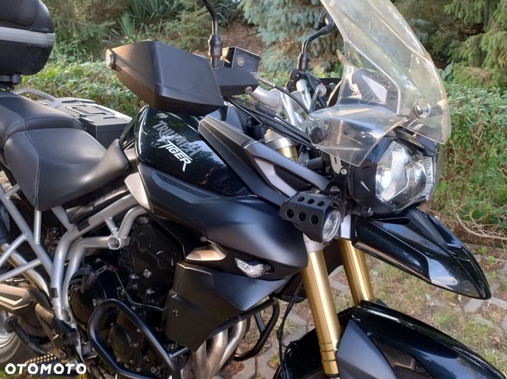 Triumph Tiger - 1
